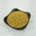 Natural Grown White broom corn millet for people,2012 new crop